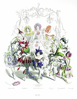 Grandville Prints: Bellflower, Fuchsia, Larkspur, Lily of the Valley