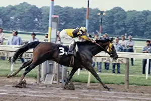 Huty35786 Prints: Belmont Stakes