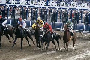 Belmont Stakes