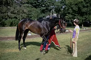 Belmont Stakes