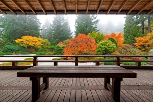 Images Dated 7th November 2014: Bench at the Pavilion