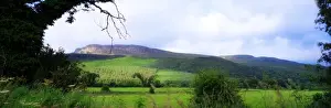 Benevenagh Through The Trees, Limavaddy, Co Derry, Northern Ireland