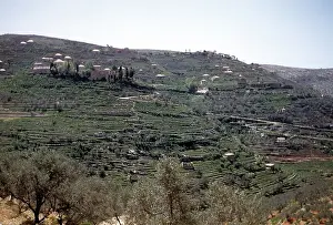 BEQAA VALLEY LEBANON