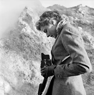 Bergman's Picture