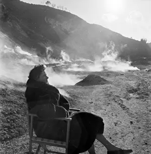 Bergman's Rest