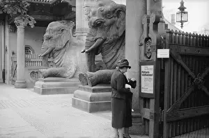 Exhibitions And Displays Prints: Berlin Zoo