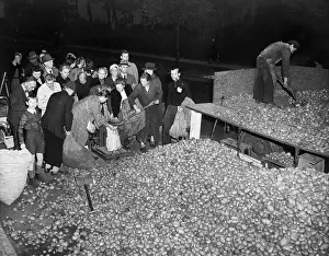 Shoveling Prints: Berliners Gathering Potatoes