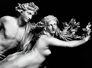 Apollo Prints: Bernini'S Sculpture Of Apollo & Daphne
