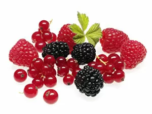 Images Dated 19th April 2011: Berries, currants, raspberries, blackberries