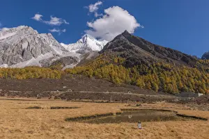 Walkway Prints: Beutiful nature of Colorful autumn in Yading national