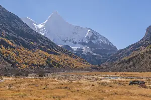 Walkway Prints: Beutiful nature of Colorful autumn in Yading national