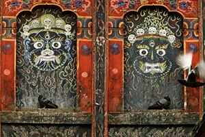 Ledge Collection: Bhutan, Punakha Valley, Punakha Dzong, pigeons on monastery wall