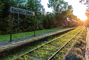 Images Dated 18th July 2013: Bialowieza Forest - Historical Train Station