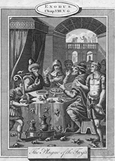 Biblical Plague