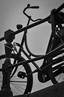 Metropolitan Prints: A Bicycle Culture That Moves Amsterdam