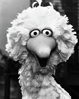 Tall Prints: Big Bird