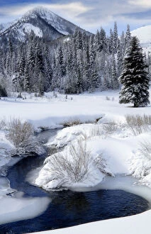 Big Cottonwood Creek winds through the snow covered Wasatch Mountains at the mouth of Cardiff Fork, Utah, USA