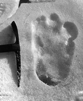 Close To Prints: Big Foot