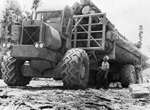 Big Logs On Big, Big Truck