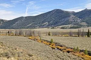 Images Dated 20th October 2011: Big Lost River Valley, Idaho, USA