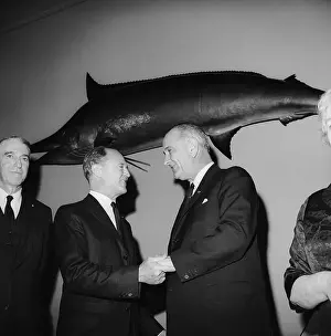 Record Setting Prints: Biggest Ever Fish Caught on a Fishing Rod