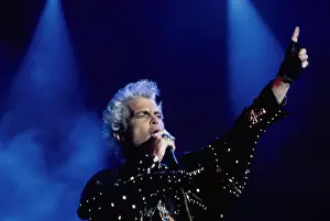 Billy Idol at Irvine Meadows Amphitheatre