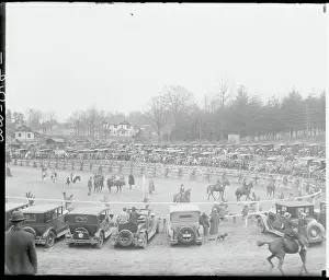 Horseman Prints: Biltmore Forest Asheville Horse Show