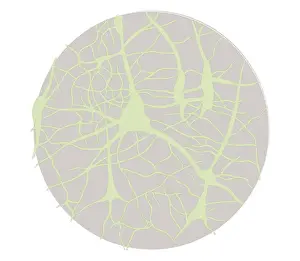 Biomedical illustration of neural network at 6 years of age