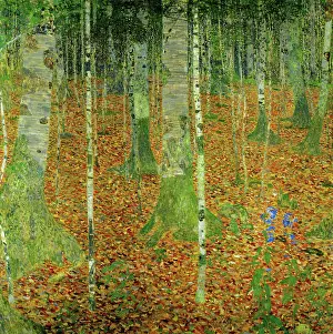 Klimt Prints: Birch Forest in Autumn