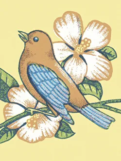 Flower Head Gallery: Bird and Blossoms