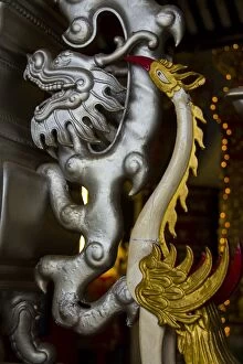 Detail of bird with bright colors and dragon head