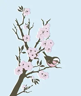 Bird in Cherry Tree