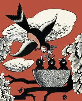 Bird and Chicks
