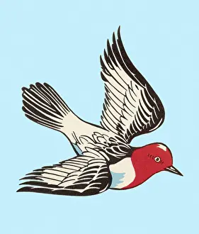 Bird Flying