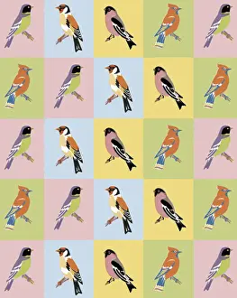 Bird Pattern
