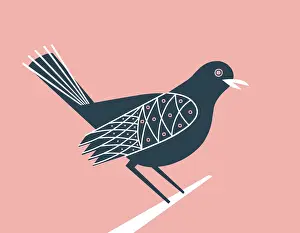 Bird on Pink Background