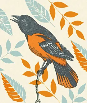 Oriole Prints: Bird in Tree