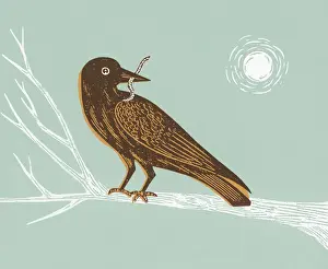 Bird With Worm