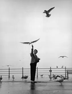 Swiss Prints: For The Birds