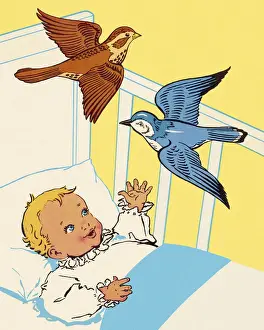 Birds Flying Over Babys Crib