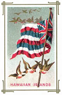 Hawaiian Prints: Birds Flying Beneath Hawaiian Flag