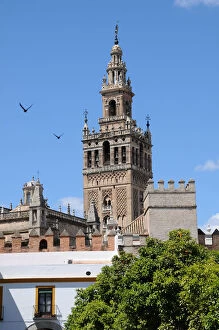 Images Dated 19th March 2017: Birds flying by the clock tower of the Cathedral of Seville, Andalusia, Spain