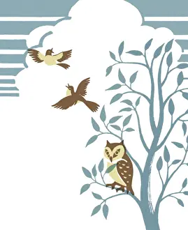 Birds and Owl in Tree