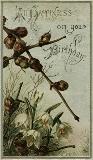 Colour Format Prints: Birthday Wishes