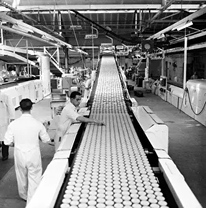 Cake Prints: Biscuit Factory