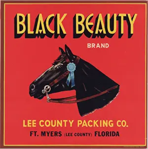 Citrus Prints: Black Beauty Brand