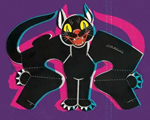 Black cat