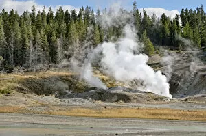 Images Dated 9th October 2011: Black Growler Steam Vent, Porcelain Basin, Norris Geyser Basin, Yellowstone National Park, Wyoming