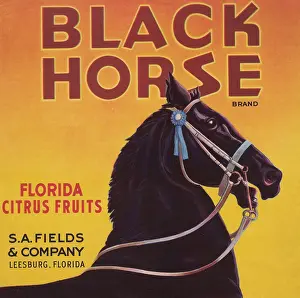 Florida Prints: Black Horse Brand