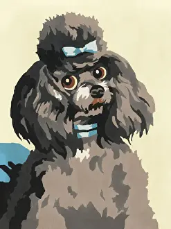Fluffy Prints: Black Poodle With Bow